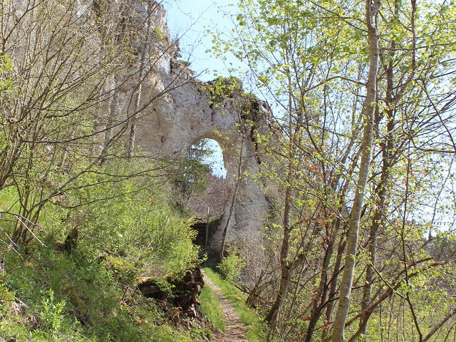 Im Fruehling 2019 (7)